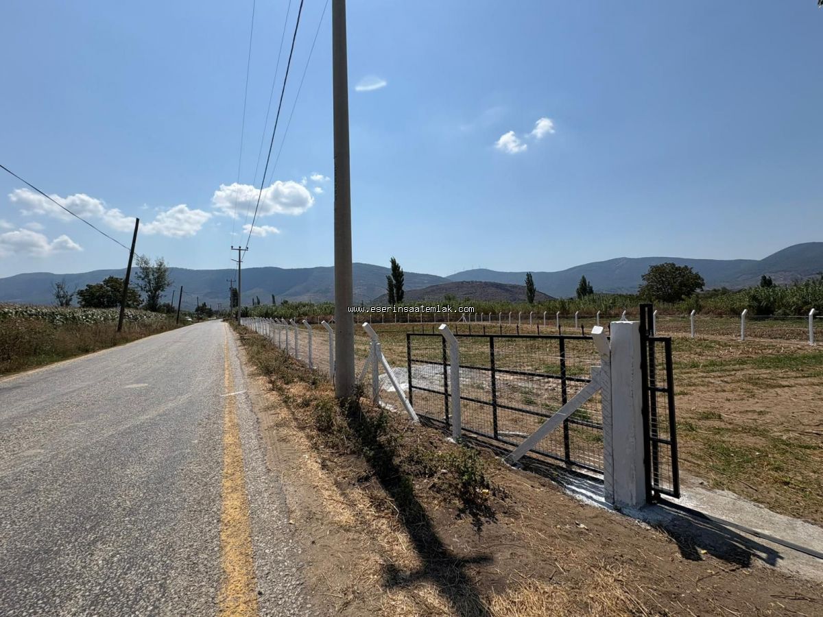 MİLAS BAFADA ANA YOLA SIFIR ACİL SATILIK TARLA