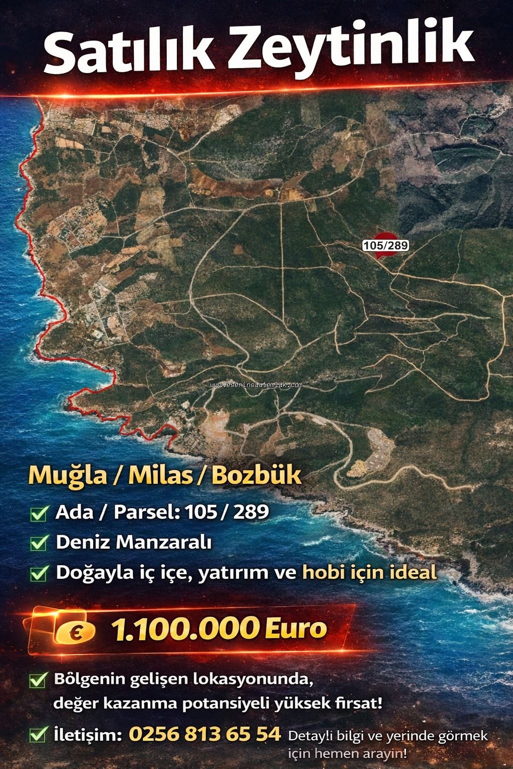 MUĞLA/MİLAS/BOZBÜK'TE SATILIK DENİZE YAKIN 21.770 M2 ZEYTİNLİK